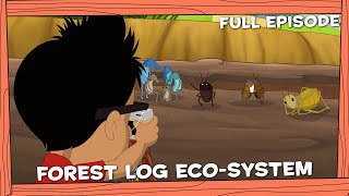 Darwin and Newts | Forest Log Eco-System