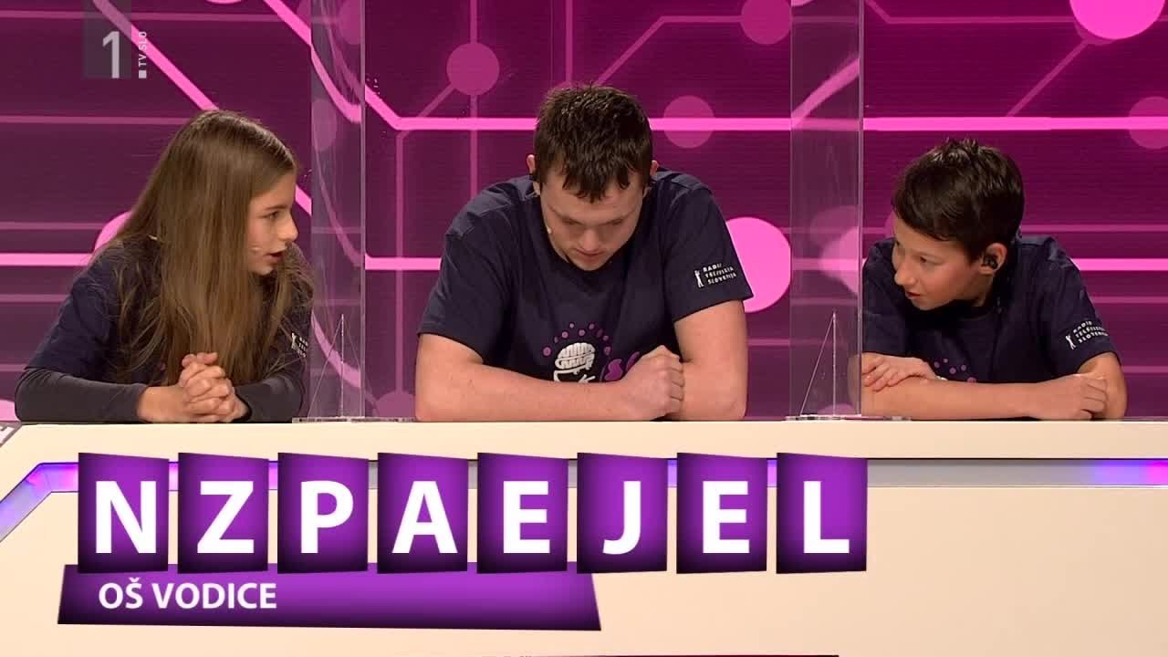 Možganski labirnit: OŠ dr. Vita Kraigherja Ljubljana in OŠ Vodice