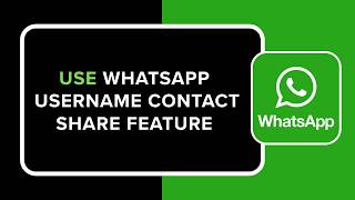 How to Use WhatsApp Username Contact Share Feature