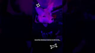 𝘈𝘴𝘩 𝘪𝘴 𝘴𝘰 𝘴𝘭𝘢𝘺