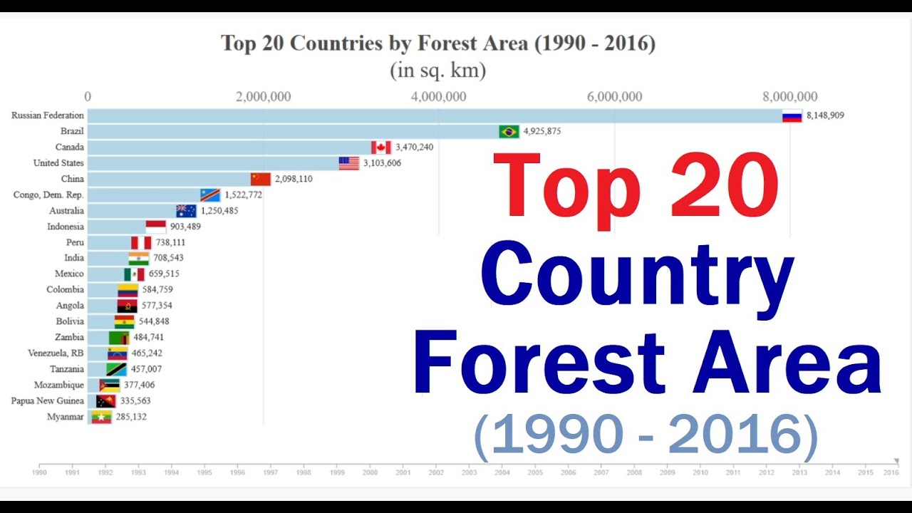 Top 20 Countries by Forest Area | Deforestation or Reforestation of our Planet | Historical Ranking
