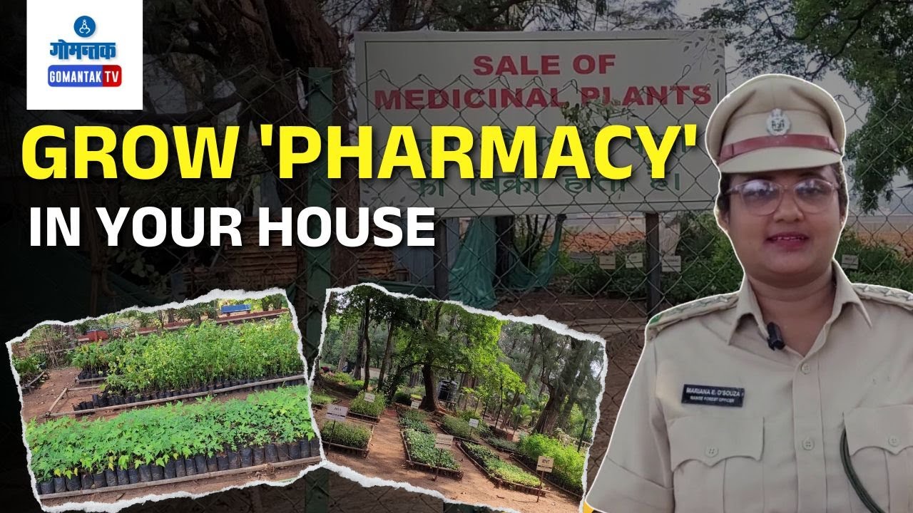 Special Report - Grow 'pharmacy' in your House | GomantakTV - YouTube