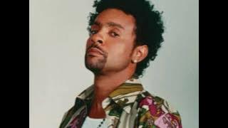 independent ladies - shaggy.wmv