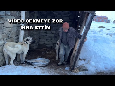AŞAĞI KÖYDE 12 AYLIK ENTERESAN BİR KÖPEK BULDUM BUNU ALACAM GÖRMELİSİNİZ 