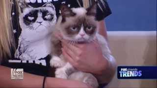 Grumpy Cat Awarded $710,000 In Copyright Infringement Suit : The Two-Way :  NPR