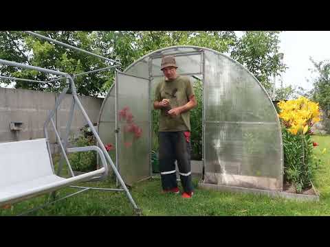 How to Fertilize Tomatoes to Prevent Blossom Drop and Blossom End Rot
