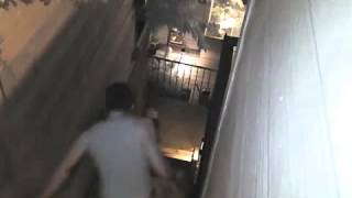 На мою собаку напал енот! (My dog Toaster was attacked by a raccoon) На мою собаку напал енот! (My dog Toaster was attacked by a raccoon)