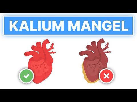 Video: Ist Kalium Aus Der Nahrung Ein „fehlendes Glied“beim Headshaking? Studie Will Es Herausfinden