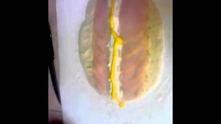 Rollero Sandwich - Based on a Calzone and Stromboli