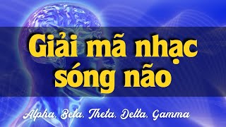 Nhạc sóng Não Là Gì| Giải mã nhạc sóng não Alpha, Beta, Delta, Gamma, Theta