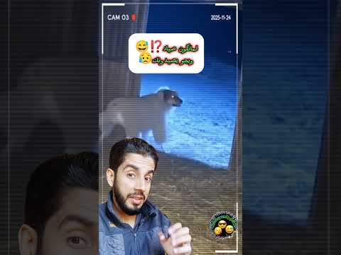 لماتكون ذيب وصياد ويصيدونك اكسبلور  كوميديات كلاب ذئاب ضحك