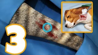 OPERATE NOW ANIMAL HOSPITAL - Gameplay Walkthrough Part 3 Android - Animal Emergency Room screenshot 5