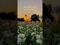 سورة الإسراء الآيه 80 الشيخ المنشاوي