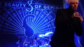 The Beauty of Gemina (Live)