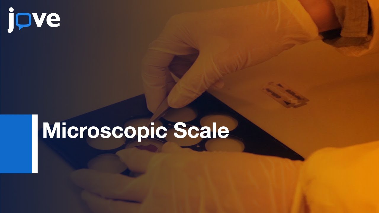 Microscopic Scale Acutation Control and Fabrication | Protocol Preview