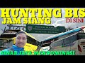 Hunting Bis Jam Siang Di Terminal Dukuh Salam Slawi || Sinar Jaya Mendominasi