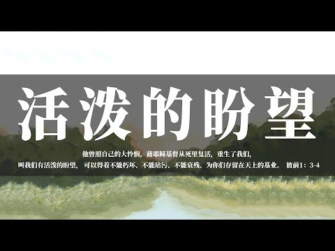 【睡前祷告】活泼的盼望20240805 - 主啊，你不仅重生了我们，叫我们有活泼的盼望，还应许赐给我们永恒的天上的基业。主啊，这是何等大的恩典呢。