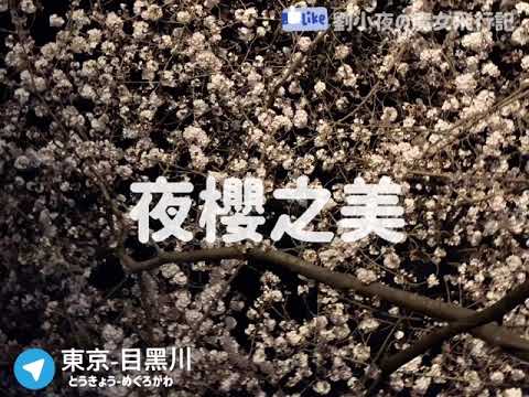 🇯🇵（日本）東京超人氣的「目黑川」賞櫻景點