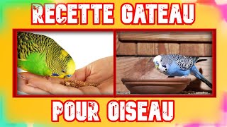 RECETTE DE GATEAU FACILE POUR TOUS LES OISEAUX EXOTIQUES