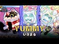 {EDOPRO} ANGRY CATS ARCHETYPE | YUMMY DECK | POST JUSTICE JUNTERS | REPLAYS+DECKLIST | YU-GI-OH OCG