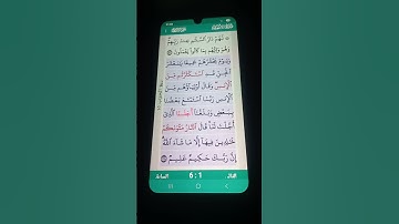 سورة الأنعام الآية 128-129 سعد الغامدي