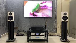 Elac Vela Bs403 มนตรกนกแรพ