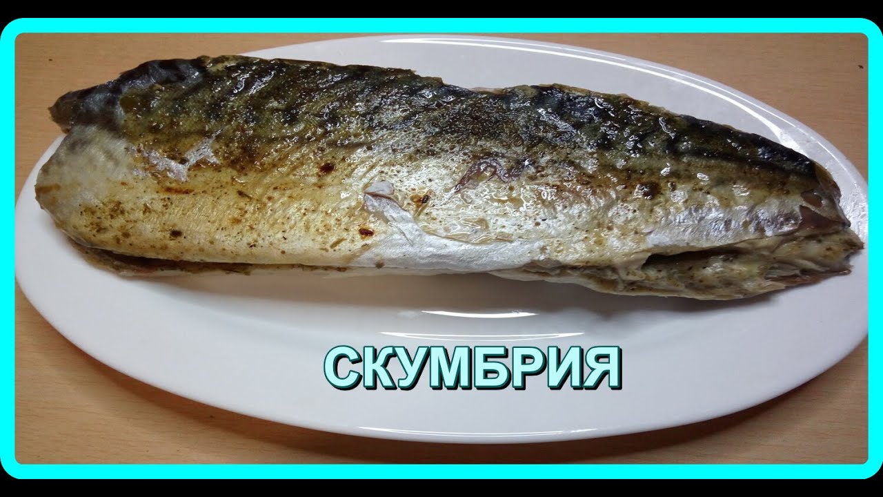 скумбрия на пергаменте в духовке. 20 мин и горбуша похожа на дорог рыбу вкусная кухня. скумбрия жареная в пергаменте. скумбрия в духовке на пергаментной бумаге. скумбрия в пергаменте в духовке.