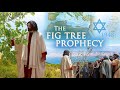 The Fig Tree Prophecy