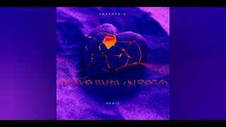 LE HACE FALTA UN BESO - Agapornis (REMIX)