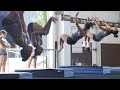 UCLA Gymnastics at Woodward - Day 2