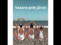 ⛱️🚤🏝️Рассказываем об отпуске на море. Vasara prie jūros