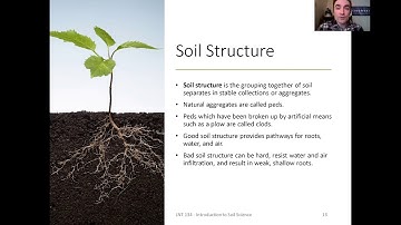 Soil Physical Properties