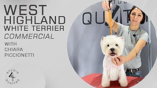 WEST HIGHLAND WHITE TERRIER CLIPPER COMPLETE GROOMING (TRAILER)