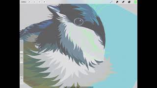 Using Procreate to design/audition quilting patterns