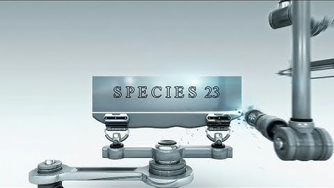 UT2004: Species 23 CTF Movie