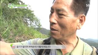 생방송 투데이 20130716 다시보기 #1(2)