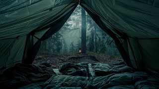 Waking Up to the Sound of Rain Falling in the Forest - Experience Camping, Let Your Soul Soar