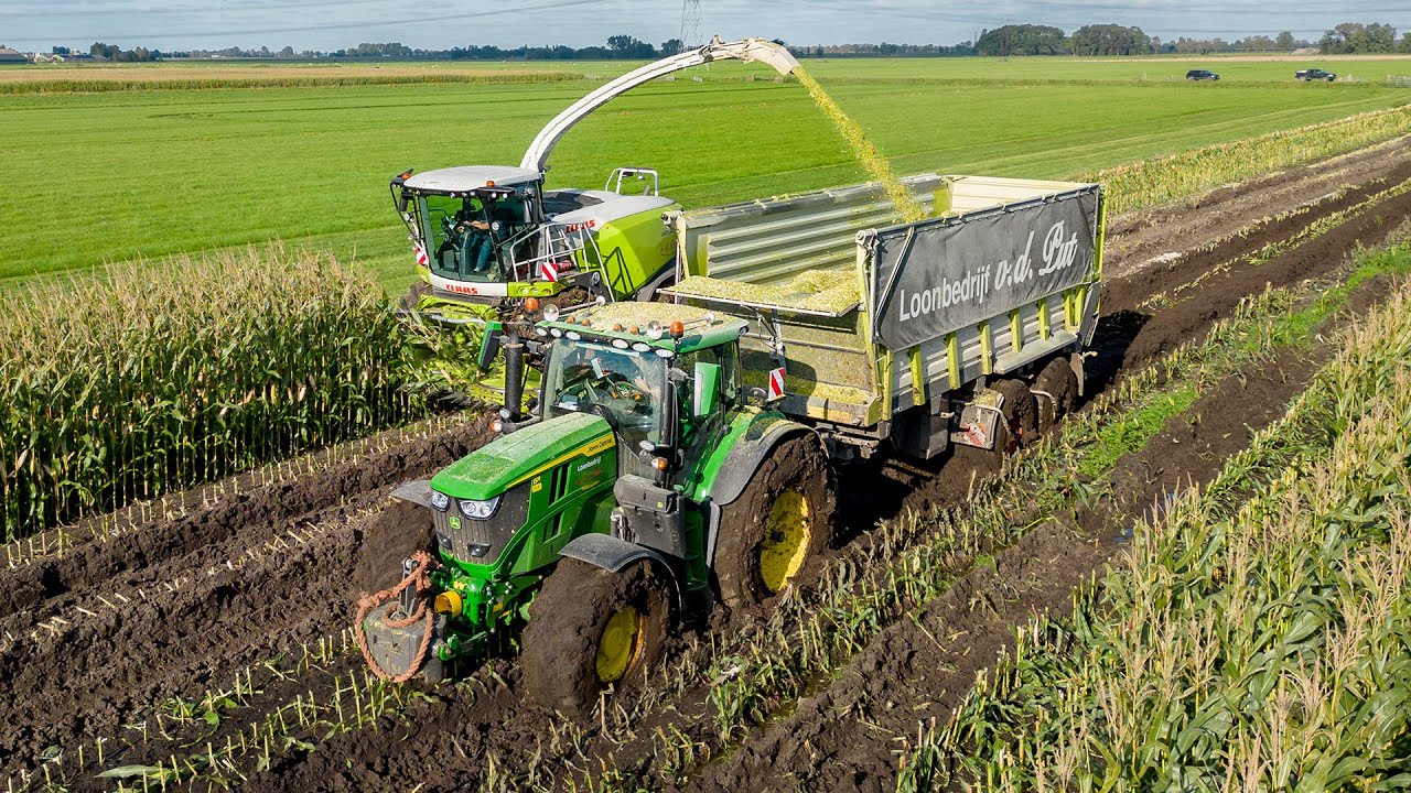 Mais 2024 / Modderen / Claas Jaguar 950 / Van de Put / Mud / Maize silage
