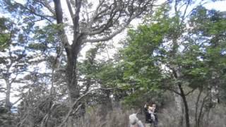 向坂山～黒岩～小川岳（１５４２m）