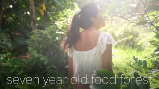 Big Island Food Forest Orchard Tour 2023