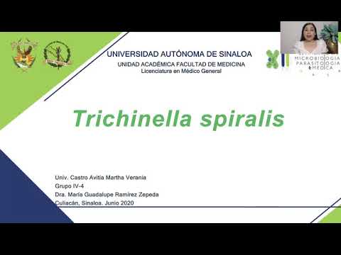 Vídeo: Com de comú és la Trichinella spiralis?