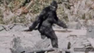 Bigfoot Howl