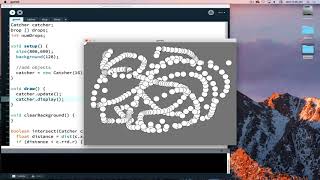 Celebrity programming basic catcher game Net Worth