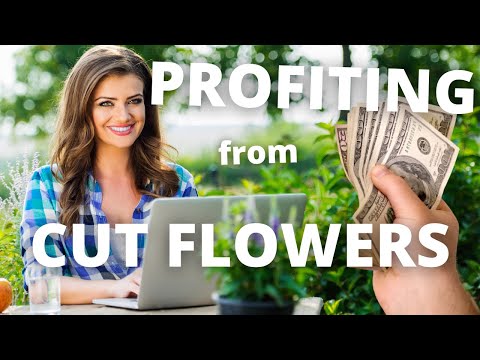 Video: How To Make Money Growing Flowers