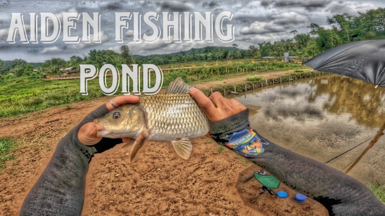 POI WAI PUNG JNG AIDEN FISHING POND KABA DON HA UMSNING,THAD HAP RUNG NA SOHPDOK🎣🎣