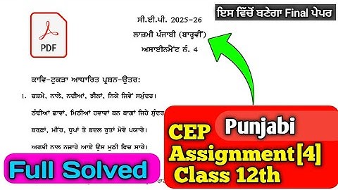 Class 12th Punjabi CEP Assignment 4 | Punjabi Assignment 4 Solved 12th Class