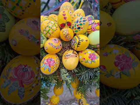 Short video