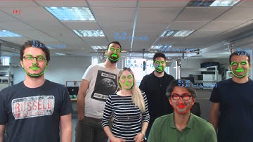 AIT face and facial features tracker (demo 2)
