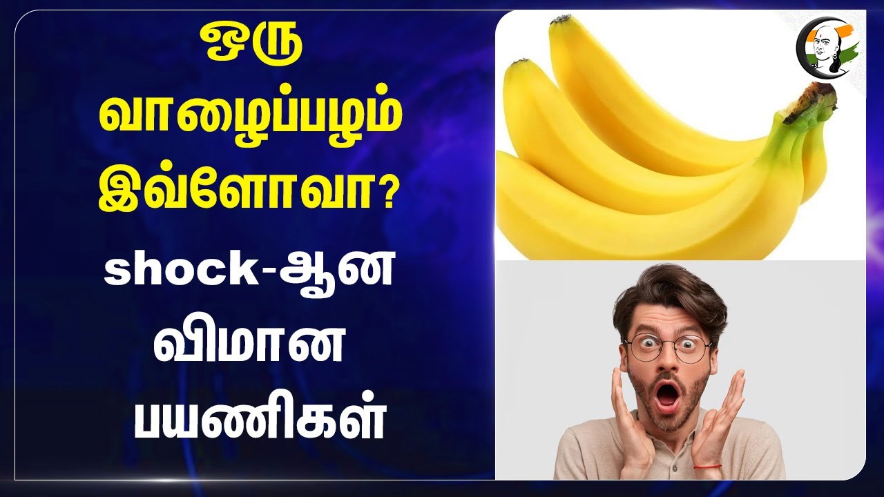 ஒரு வாழைப்பழம் இவ்ளோவா? shock-ஆன விமான பயணிகள் | Istanbul Airport | Turkey