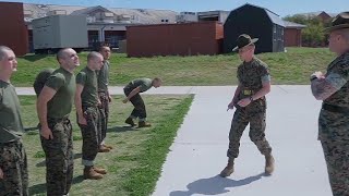 New Recruits Undergo Training at Parris Island in 2026